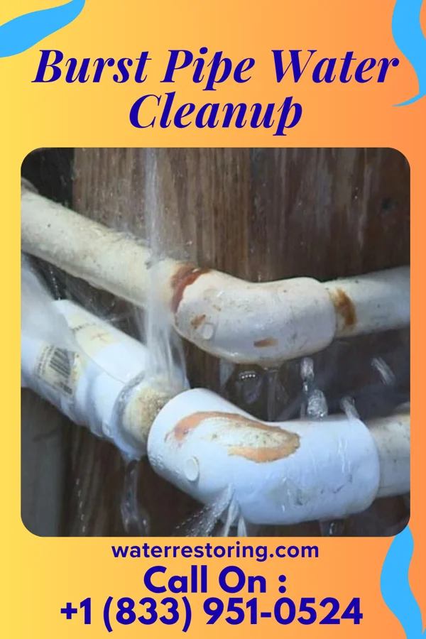 Burst Pipe Water Cleanup in Harpersville, AL