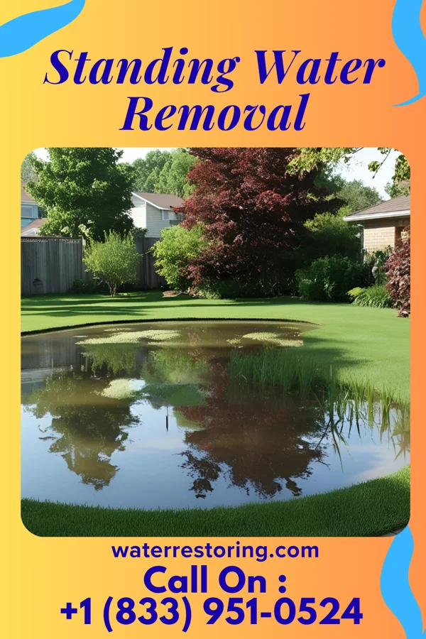 Standing Water Removal in Harpersville, AL